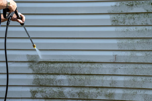 Best Custom Siding Design  in Cottage City, MD